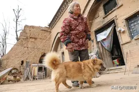 8旬奶奶3年间丧失2名亲人，如今和狗狗相依为命，她活成啥样子图片