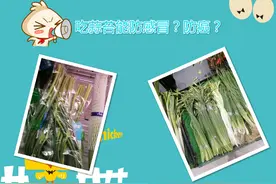 吃蒜苔能防感冒防血栓防癌？莫信图片