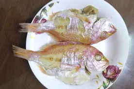 赤鯮鱼，潮汕妈妈，用1种蒸法来做，和1碟酱蘸着吃，即鲜美无比图片