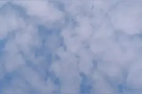 扫黑风暴中那些名字的寓意图片