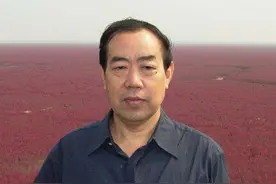 《废都》：在国外获奖，国内却被禁16年，王朔：就是扒厕所的图片