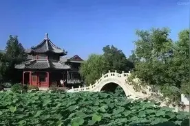 最美不过江南，苏式庭院迷醉了多少文人墨客图片