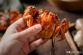 吃蟹时间有讲究？“九雌十雄”看了就知道图片