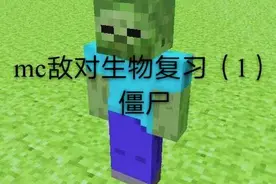 我的世界敌对生物复习-僵尸图片