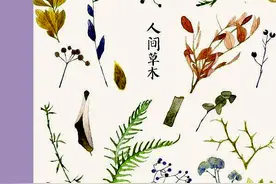 常怀宽容心，人间送小暖——读《人间草木》有感图片