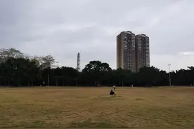 广西贵港的马草江生态公园，早晨锻炼的好去处图片