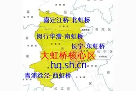 设虹桥新区是解药？一样的“三国杀”，虹桥缘何被临港盖过风头？图片