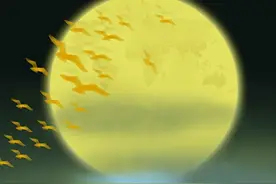 他一直在，从未离开图片