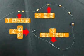 非著名钓鱼人：传统七星漂逗钓大鱼的线组解析与调漂方法图文版图片