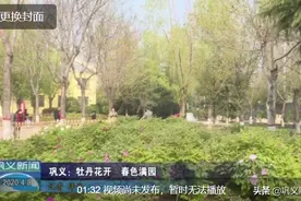 学习强国：巩义牡丹花开 春色满园图片