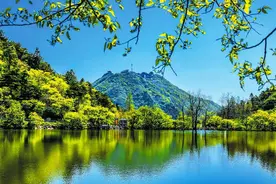 走进春日，尽享自在随州大洪山图片