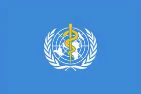 世界卫生组织首次使用世界语举办病毒防控知识培训班图片