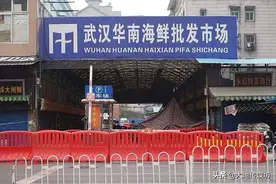 回访华南海鲜市场的江西女屠户：重返武汉打拼 不敢做冻肉生意图片