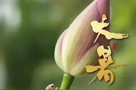 天气预报：大暑这天出现降雨，有什么预兆？看看老祖宗留下的谚语图片