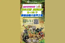 雄森动物大世界特别开园日，航拍+直播带你云游专场活动！图片