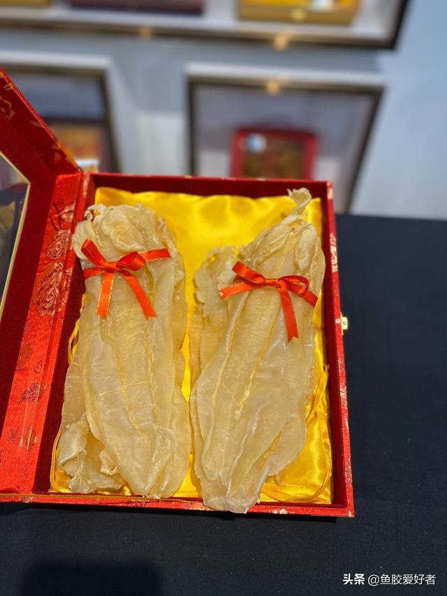 鱼胶一星期吃几次比较好 2026年鱼胶一个星期吃一次有效果吗