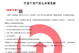 宁波个体户怎么申请贷款图片