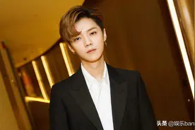 歌手鹿晗来了！鹿晗2020巡回演唱会获许可证，举办城市是亮点图片