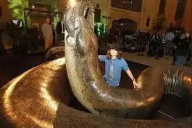 地球上最长的蛇是什么？要制服这么大的蛇至少需要10个壮年男子图片