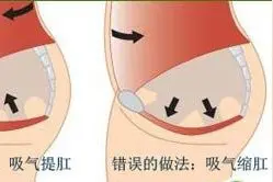 最适合男性做的运动有哪些图片
