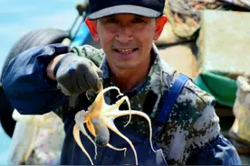 海边偶遇捕鱼人，特殊方法专逮八爪鱼日赚千元，网友：好傻的鱼图片