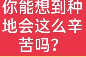 稻种变成大米有多辛苦你知道吗？看了今天文章，你还会浪费吗？图片