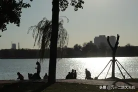 春日的天津水上公园图片