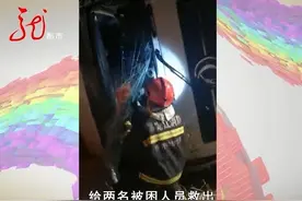 齐齐哈尔一拉猪货车侧翻，四百头猪仔雪地里狂奔图片