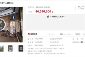 11套被法拍的武林壹号，拼出一个焦虑的杭州“快钱阶层”图片
