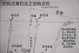 它是钓罗非鱼的“必杀技”，简单又实用。详解：“空钩点窝”钓法图片