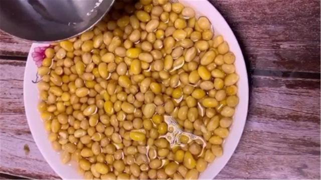 花胶能与黄豆一起煲吗 2026年花胶能与黄豆一起煲吗怎么做