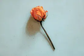 3个小故事，让你今晚睡个好觉图片
