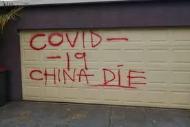 莫做迷途的澳洲羔羊图片