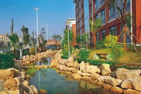 四川绵阳5所好高中，绵阳东辰学校强势崛起，包揽绵阳市理科前2名图片