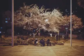 我在武汉街头流浪了20多天，头发白了一半图片