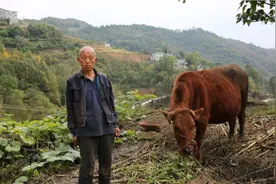父母智障，状元儿子考上清华改变命运，让父亲晚年过上幸福生活图片