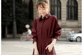 早秋上新，时尚收腰衬衫连衣裙图片