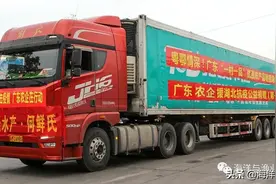 从一条鱼到一道菜 何氏水产从活鱼流通转型精深加工打造全产业链图片