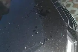 14岁男孩划伤小区11辆车，爷爷看完录像忍不住落泪！接下来的举动让人叫好图片
