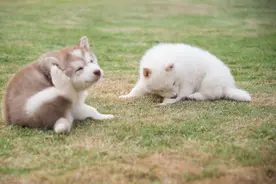 痒痒痒痒痒痒痒痒痒痒痒痒痒图片