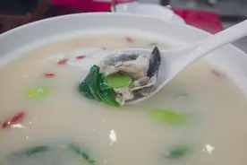 “河豚美味当前，谁还不是个行动派？”一个吃货的内心独白图片