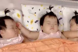 慵懒“三胞胎”组合睡觉走红，二妞：终究是我一个人扛下了所有图片