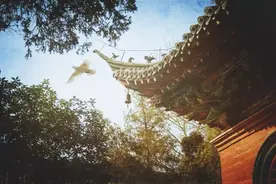 得失，天注定；聚散，天安排图片