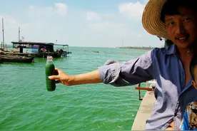 滆湖的“营养病”：蓝藻暴发10多年，“鲢鳙调水”有效吗？图片