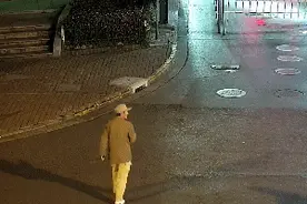 女子骑共享单车遛狗摔倒，醒来竟不认识自家狗了图片