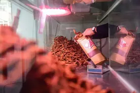 青岛有一道特色小吃，猪油做成，网友评论：简直堪称“肉中之王”图片