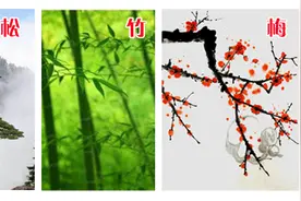 诗人词人最爱的三友、四君子，你知道是什么植物吗？图片