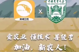 不打农药=绿色蔬菜？这个真相你要知道图片