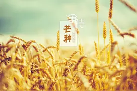 夜来南风起，小麦覆陇黄——二十四节气之芒种壁纸精选图片