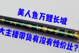 美人鱼万鲤长城，大主播到货，到底有没有性价比？图片